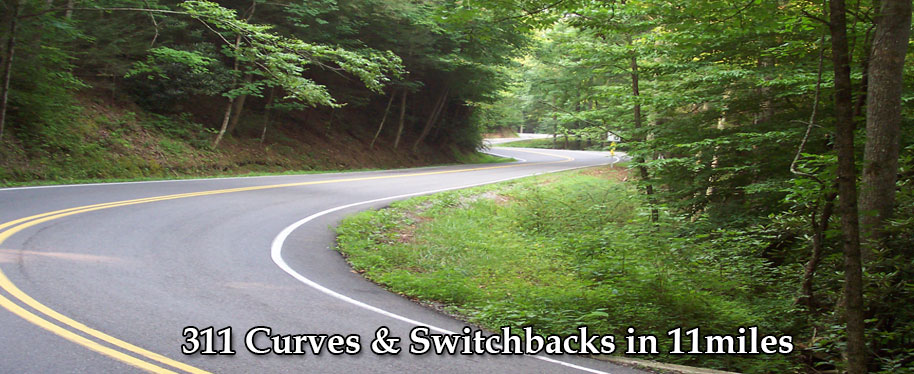 311 Curves & Switchbacks in 11 miles