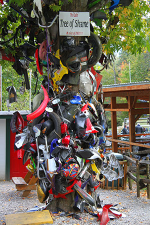 Tree of Shame Deals Gap Motorcycle Lodge